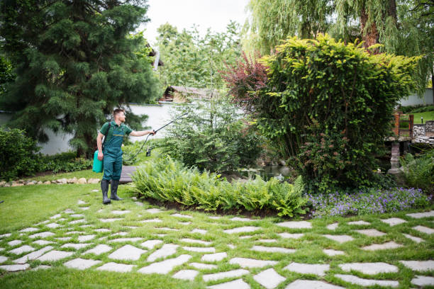 Best Emergency Pest Control  in Tehaleh, WA