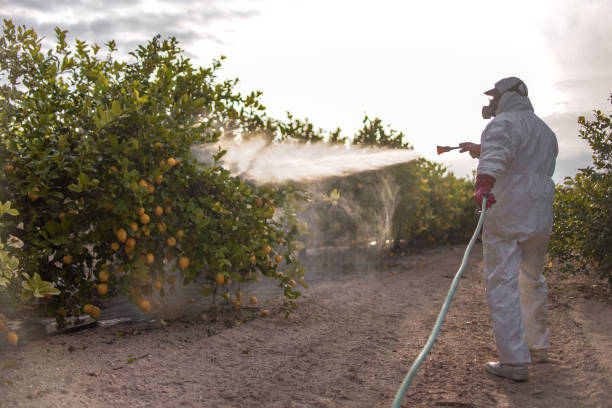 Best Insect Control  in Tehaleh, WA