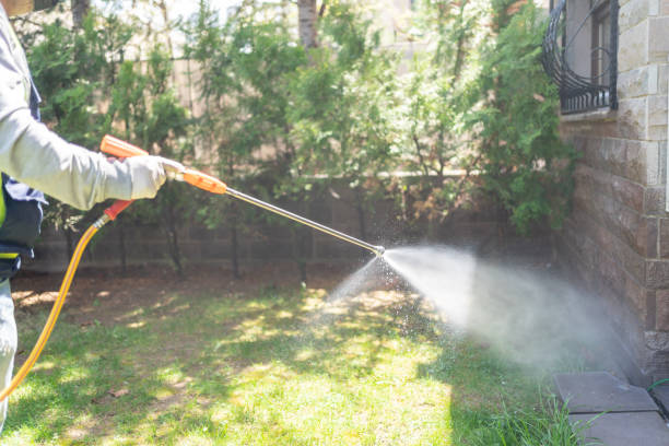 Best Mosquito Control Services  in Tehaleh, WA