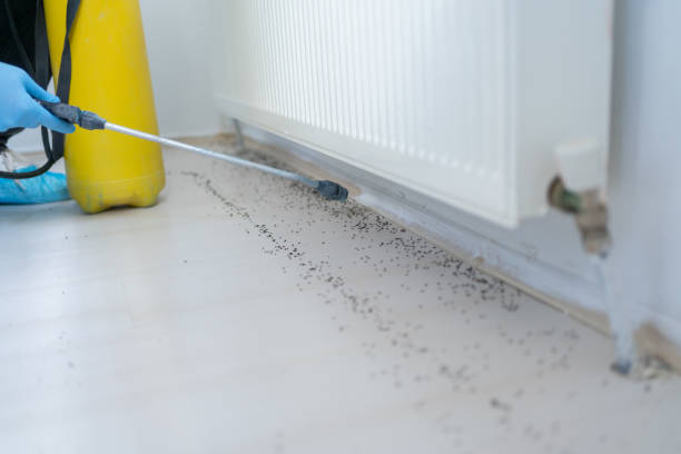 Best Pest Prevention Services  in Tehaleh, WA